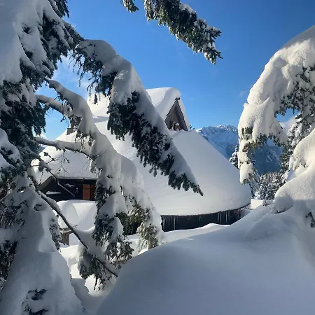 Chalet Velika Planina - Stane - Alps *