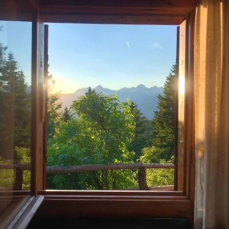 Velika Planina - Stane - Alps *