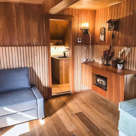 Chalet Velika Planina - Stane - Alps Stahovica