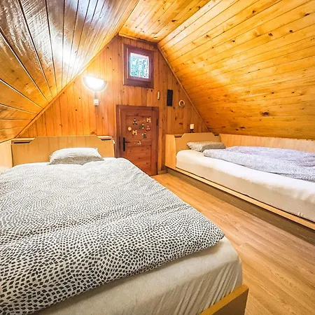 Velika Planina - Stane - Alps Стаховица