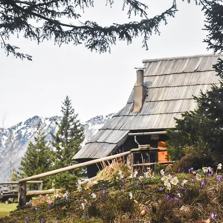 Velika Planina - Stane - Alps