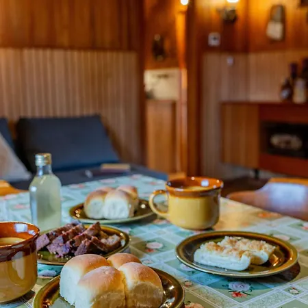 Velika Planina - Stane - Alps Chalet Stahovica