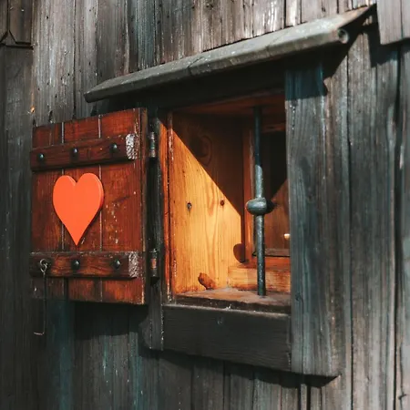 Velika Planina - Stane - Alps
