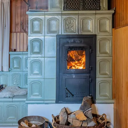 Chalet Velika Planina - Stane - Alps