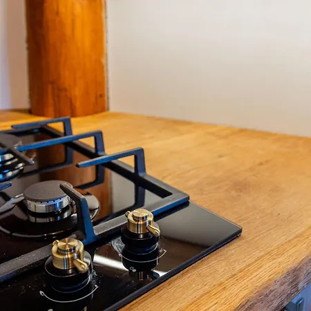 Chalet Velika Planina - Stane - Alps *