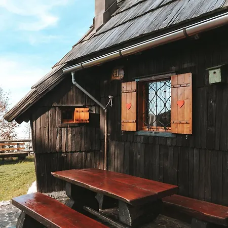 Velika Planina - Stane - Alps Stahovica