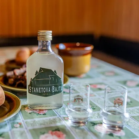 Velika Planina - Stane - Alps