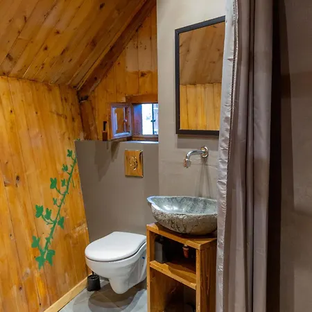 Chalet Velika Planina - Stane - Alps *