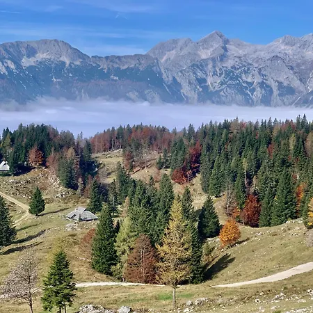 Velika Planina - Stane - Alps Chalet