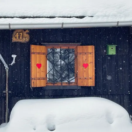 Velika Planina - Stane - Alps Chalet Stahovica
