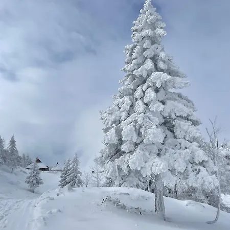 Dağ evi Velika Planina - Stane - Alps Stahovica