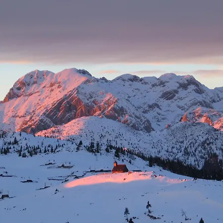 Velika Planina - Stane - Alps Chalet