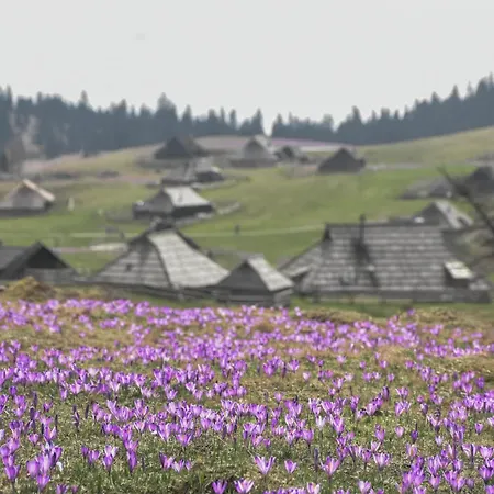 Velika Planina - Stane - Alps Chalet