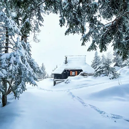 Chalet Velika Planina - Stane - Alps