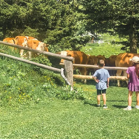 Шале Velika Planina - Stane - Alps