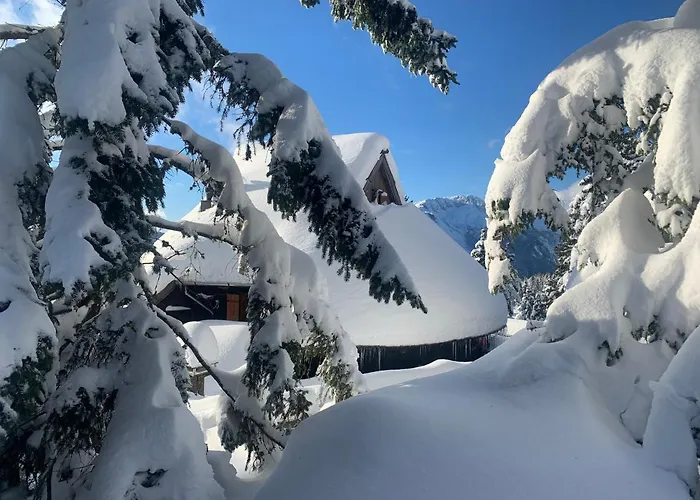 Σαλέ Velika Planina - Stane - Alps *