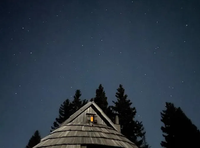Velika Planina - Stane - Alps *