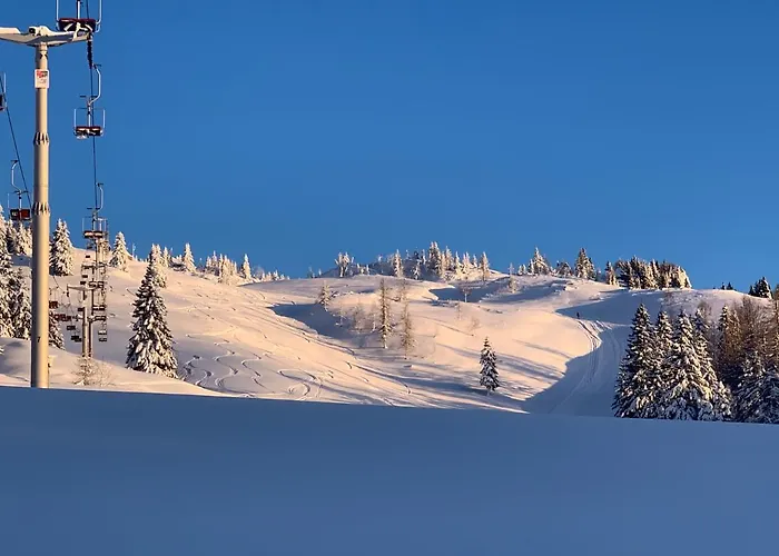 Velika Planina - Stane - Alps Стаховица