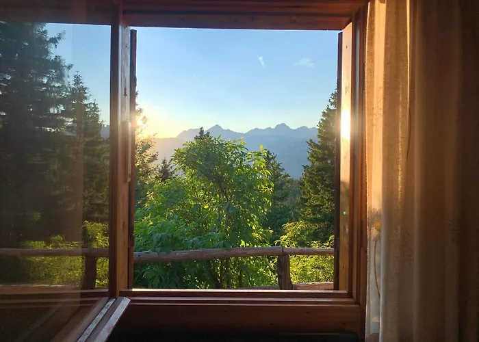 Velika Planina - Stane - Alps *