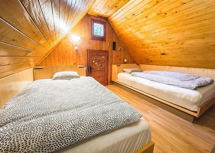 Velika Planina - Stane - Alps Stahovica