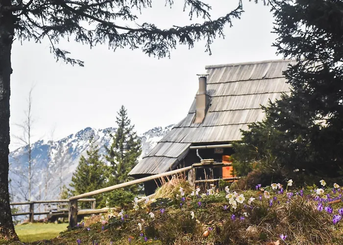 Velika Planina - Stane - Alps