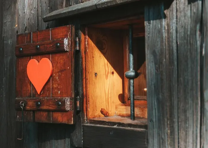 Velika Planina - Stane - Alps
