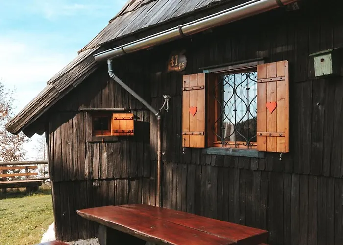 Velika Planina - Stane - Alps Стаховица