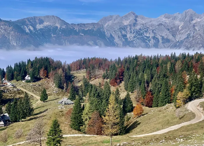 Velika Planina - Stane - Alps Шале