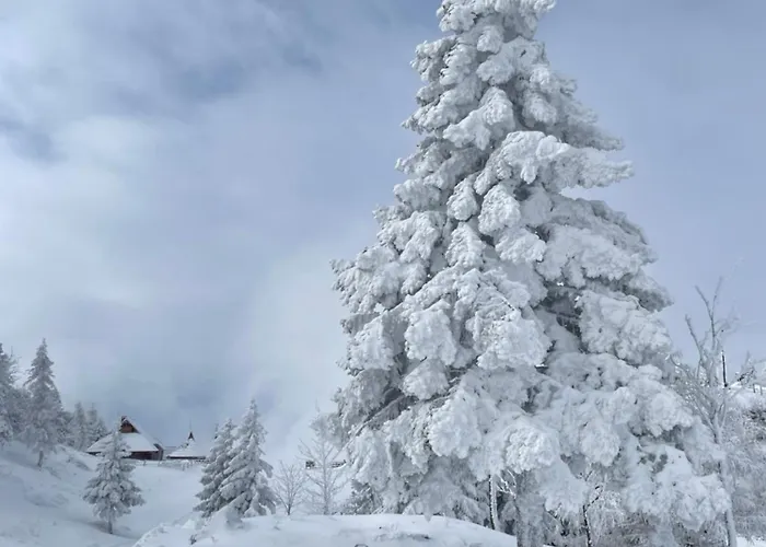 Шале Velika Planina - Stane - Alps Стаховица