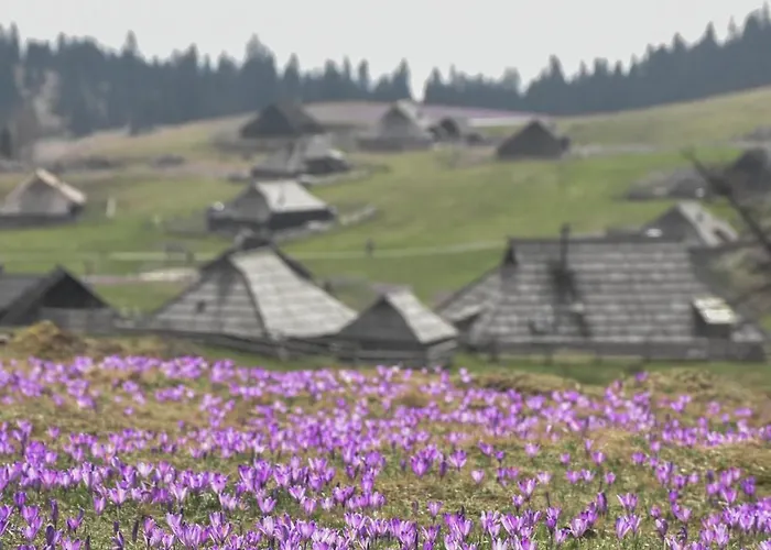 Velika Planina - Stane - Alps Шале