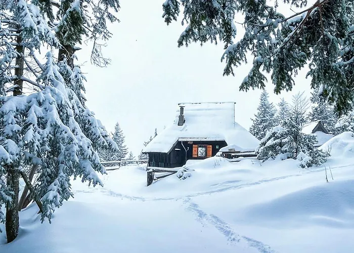 Шале Velika Planina - Stane - Alps