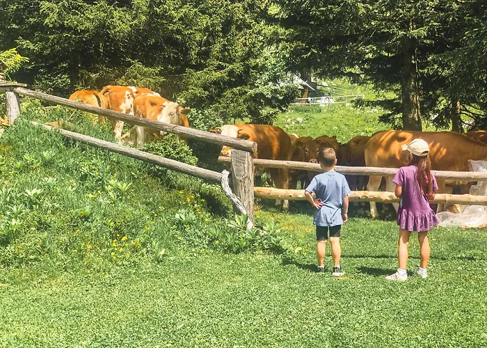 シャレー Velika Planina - Stane - Alps