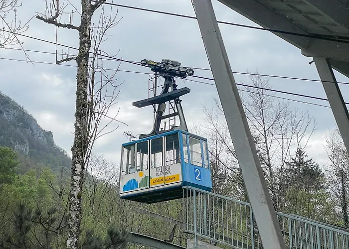 Velika Planina - Stane - Alps *